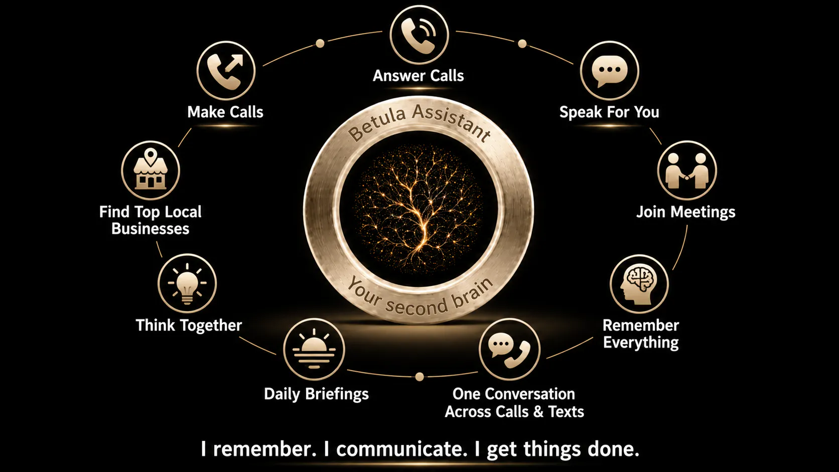Betula Assistant gallery image
