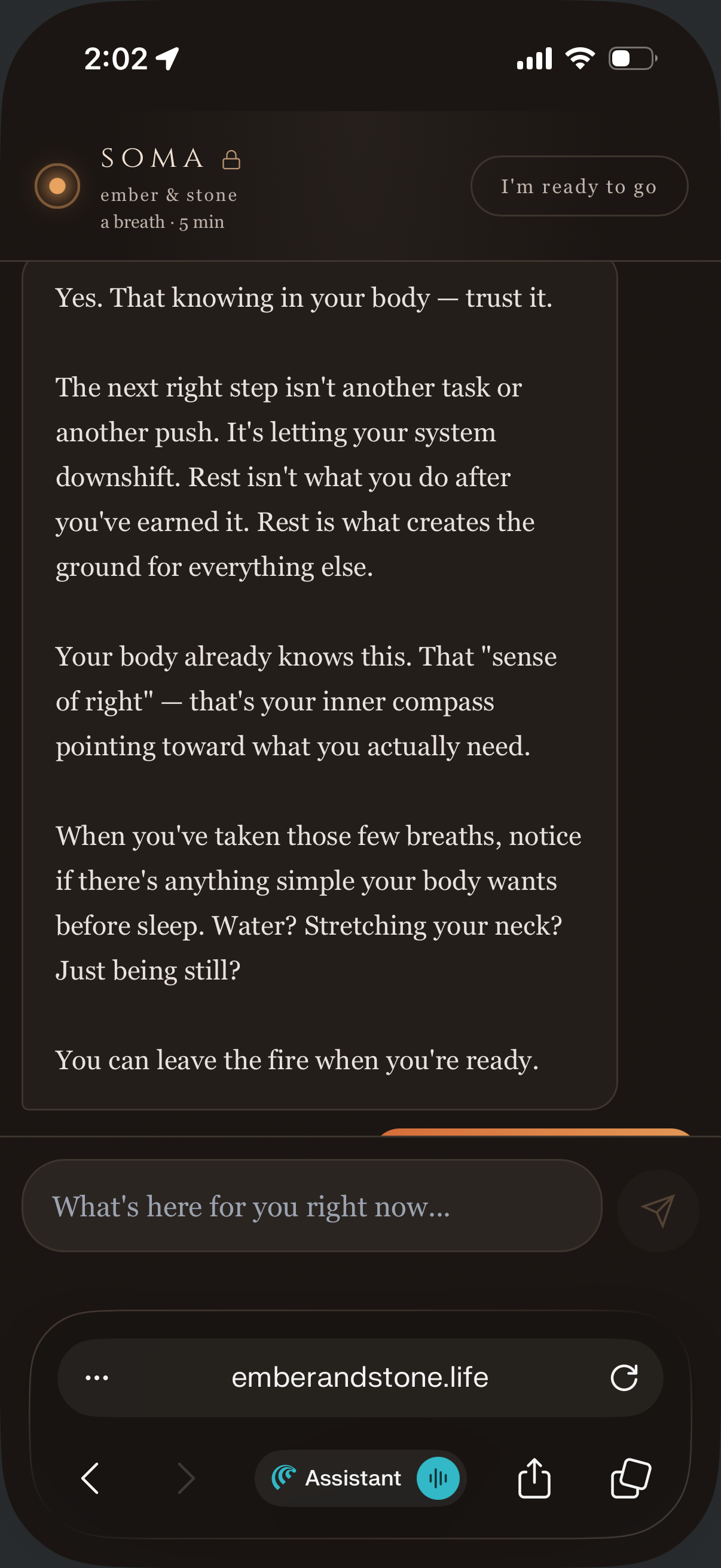 Ember & Stone — Remember you're alive gallery image