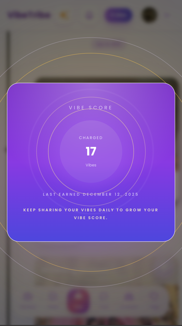 VibeTribe gallery image