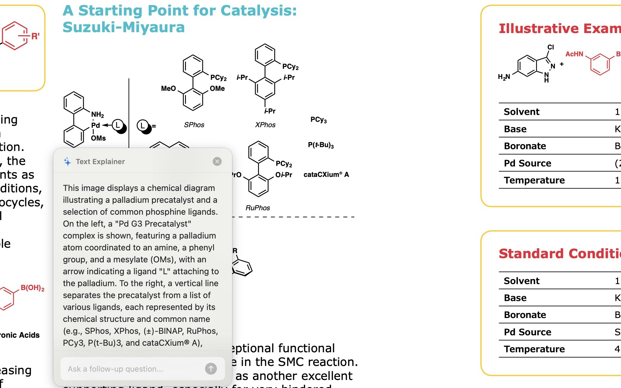 Text Explainer gallery image