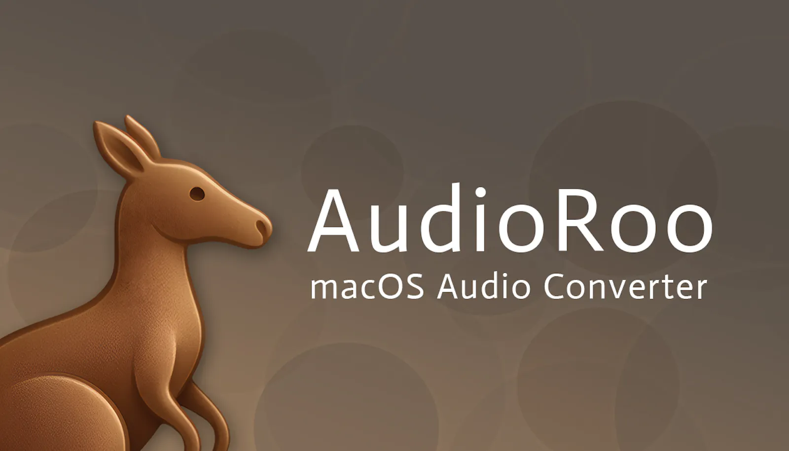AudioRoo screenshot 1