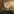 Soldier combat mission: encounter action