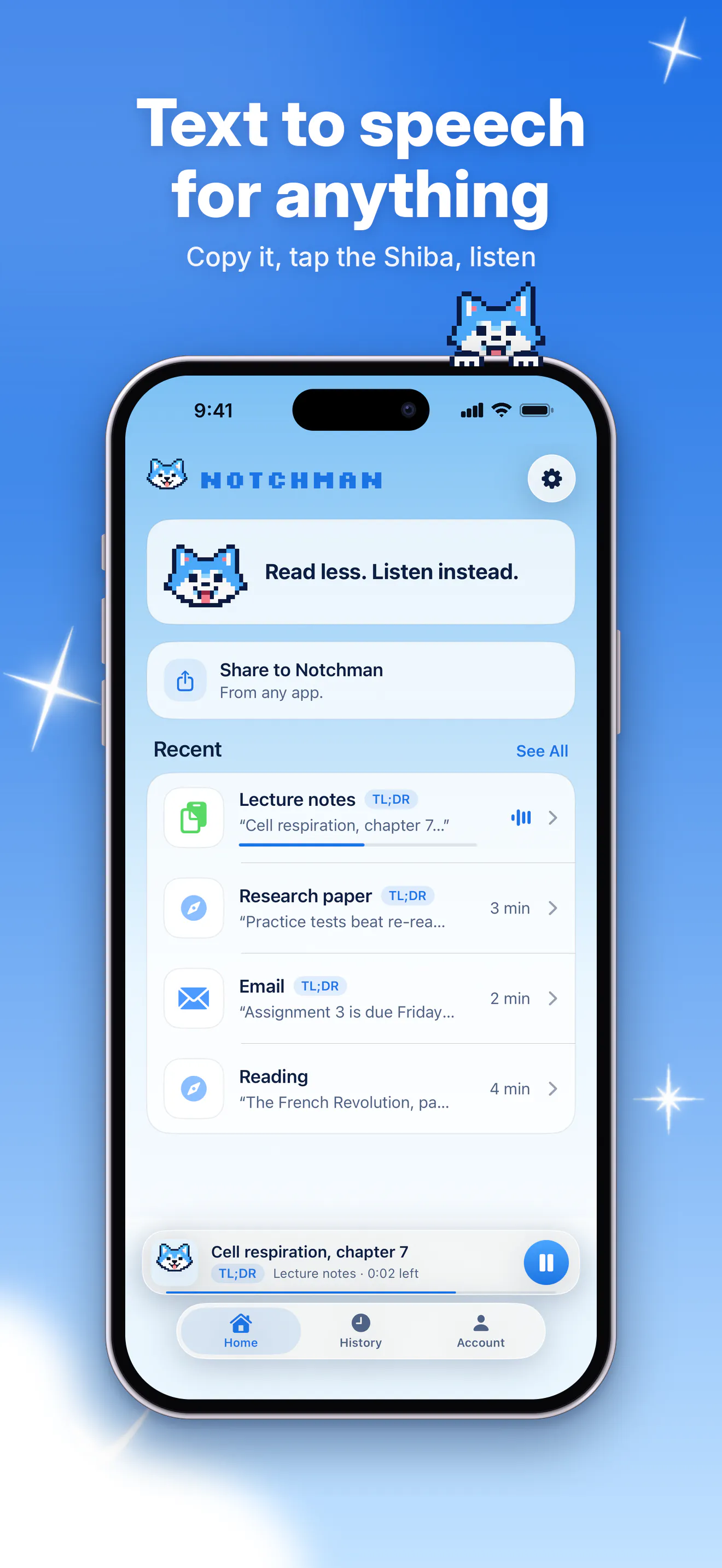 Notchman: Summarize & Listen gallery image