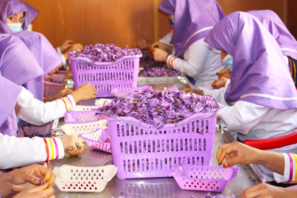 Saffron gallery image