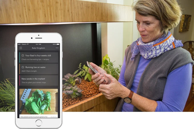 Grove Ecosystem Image