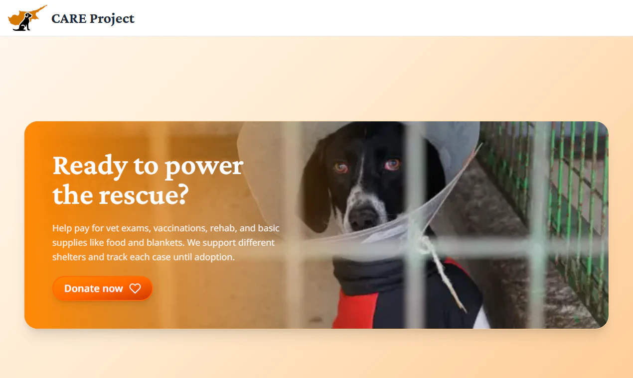 CARE Project screenshot 4