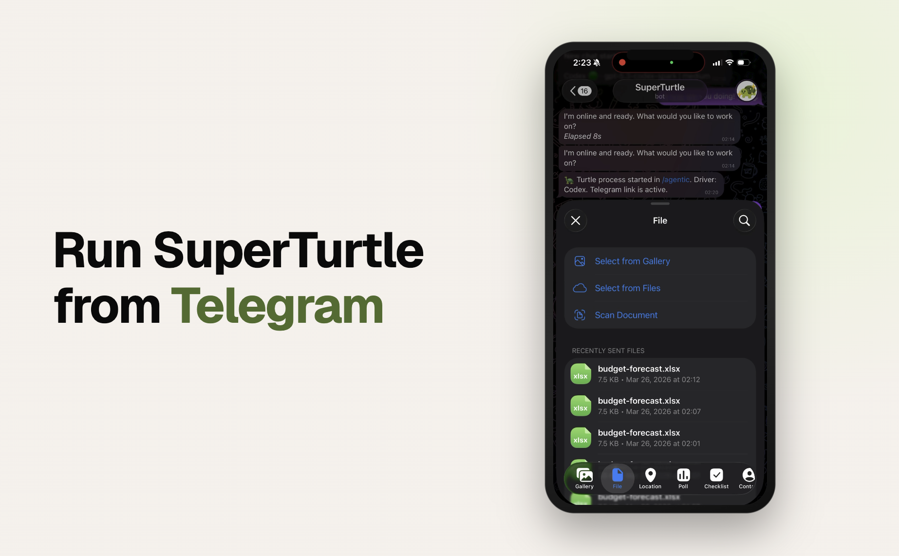 SuperTurtle gallery image