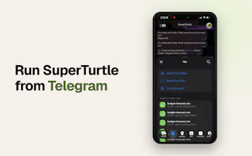 SuperTurtle gallery image