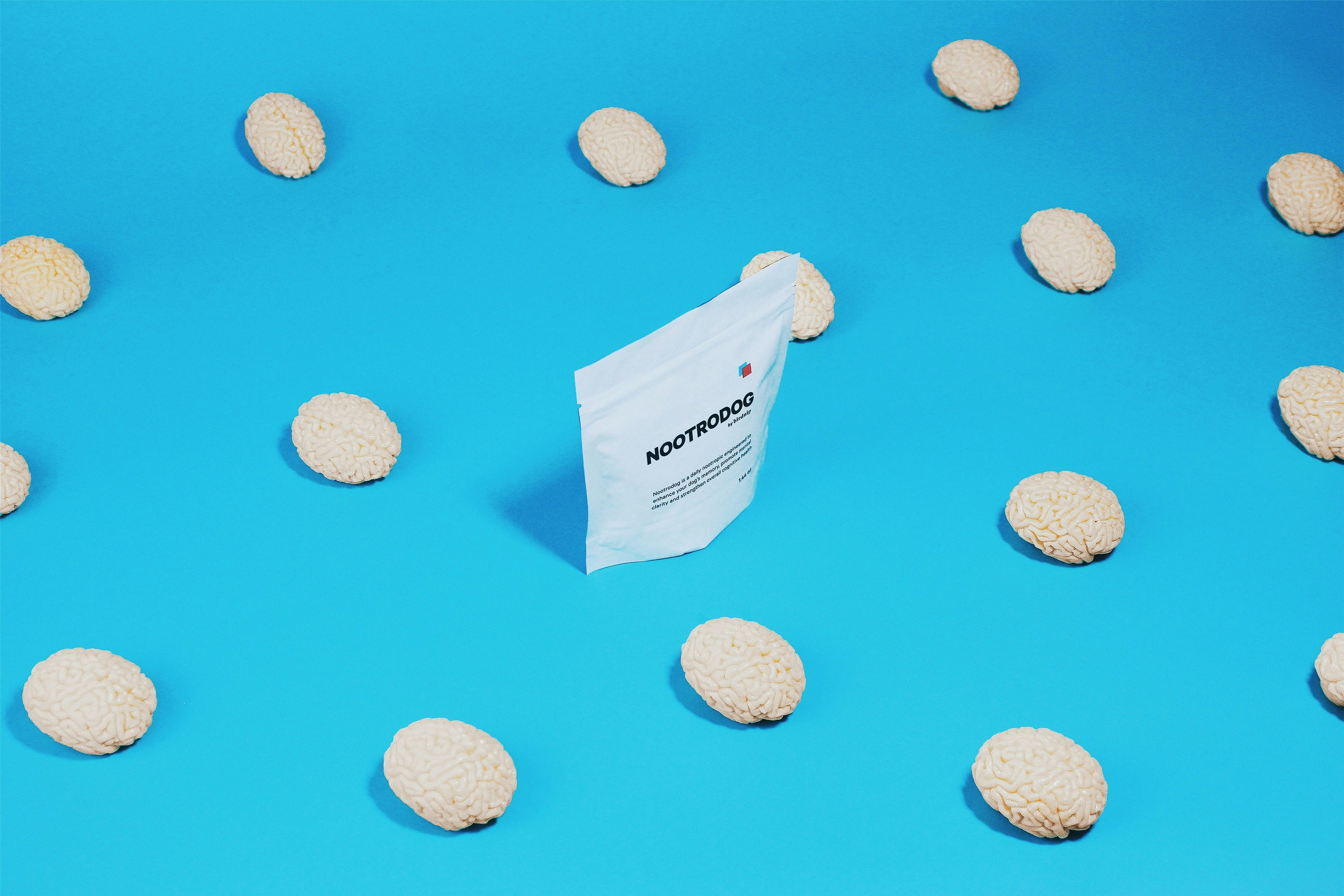 Nootrodog by Birdnip gallery image