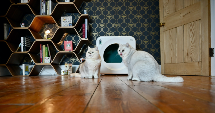 LitterPod the self cleaning litter tray Product Information, Latest