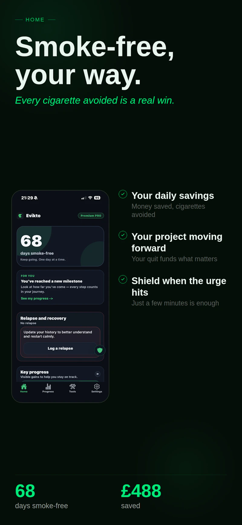 Evikto screenshot 2