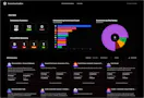 Browser Extension Privacy & Security