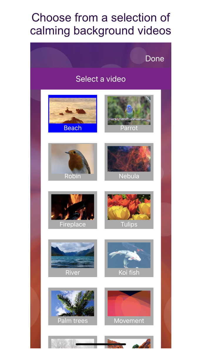 MindSpire2 (iOS) gallery image