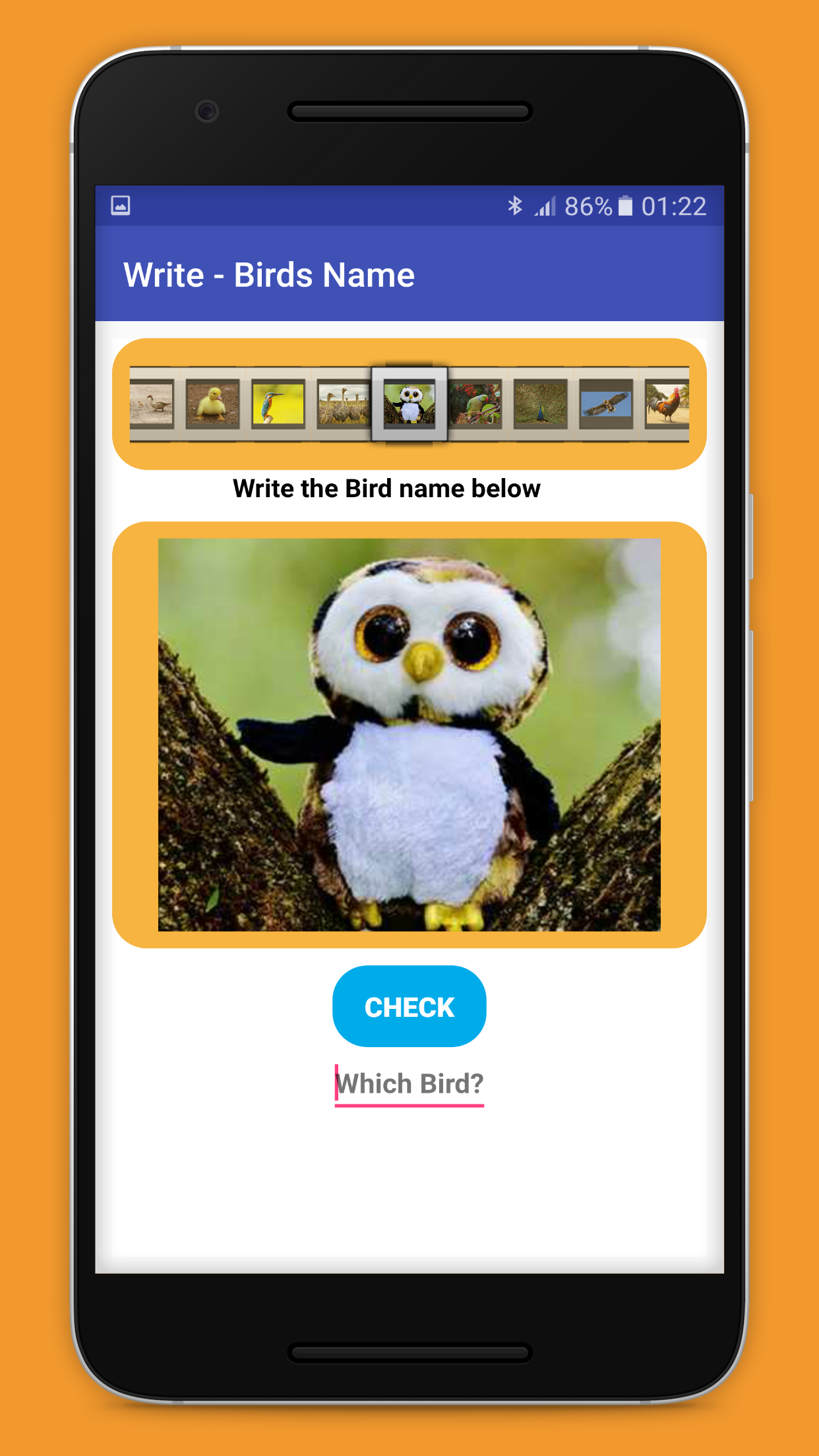 Learnofy App gallery image