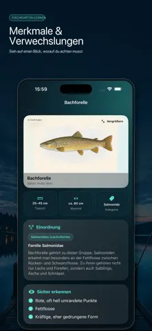 Fischkarten lernen gallery image