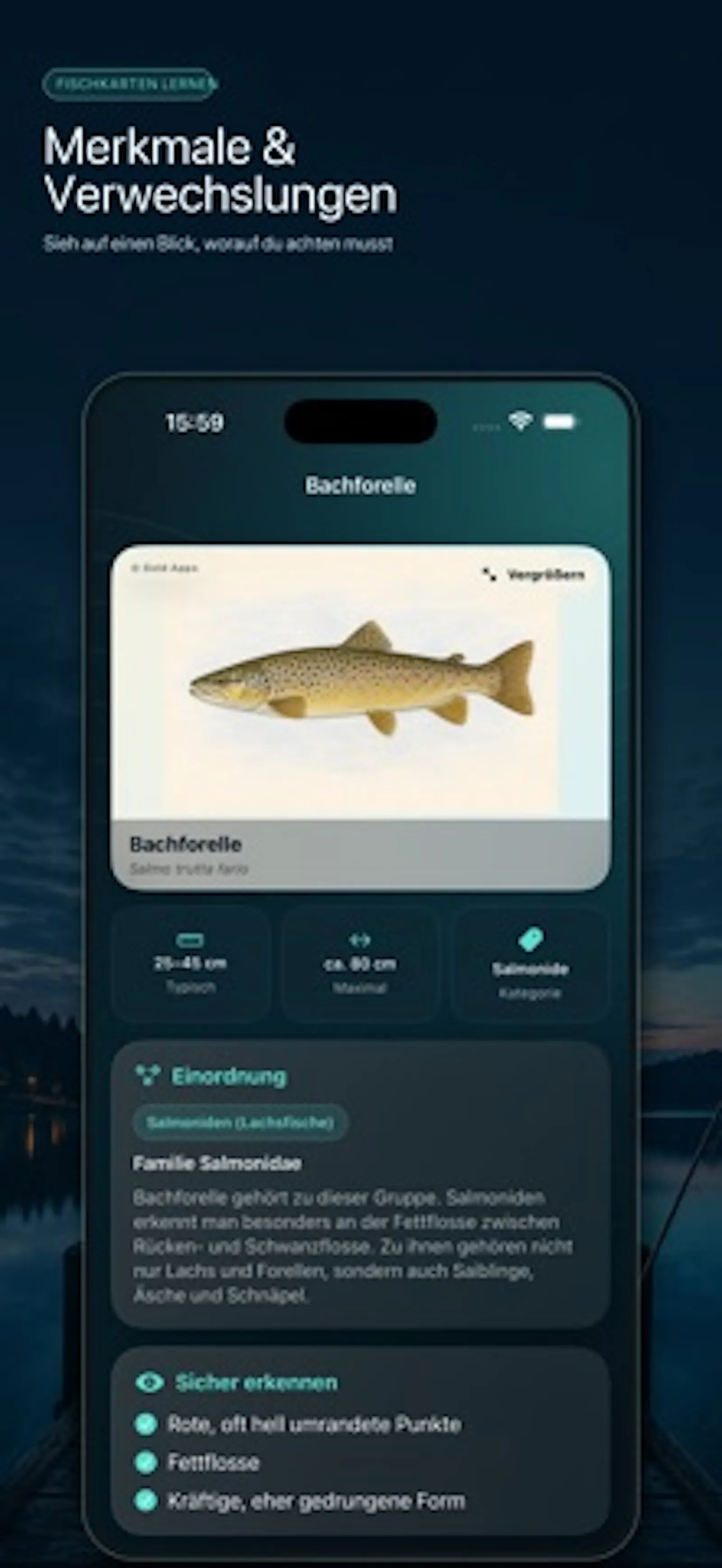 Fischkarten lernen screenshot 3