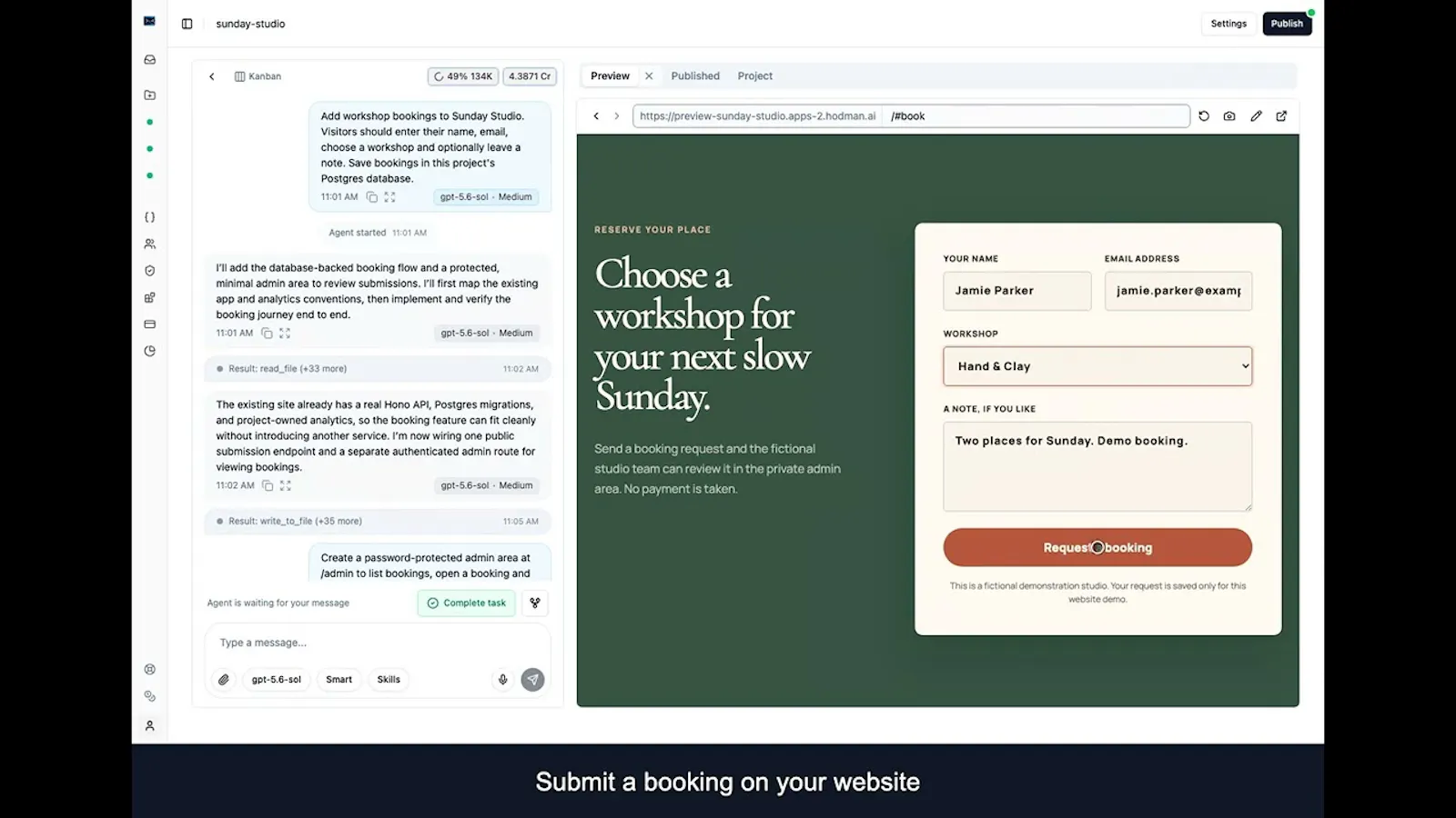 Hodman AI screenshot 1 (video preview)