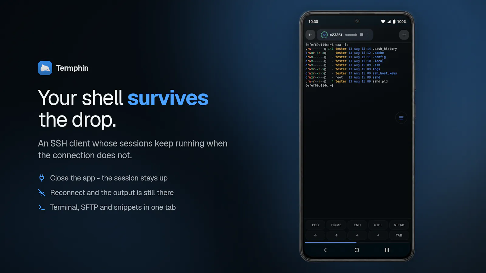 Termphin screenshot 2
