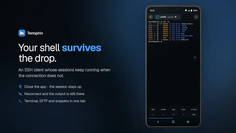 Termphin screenshot 2