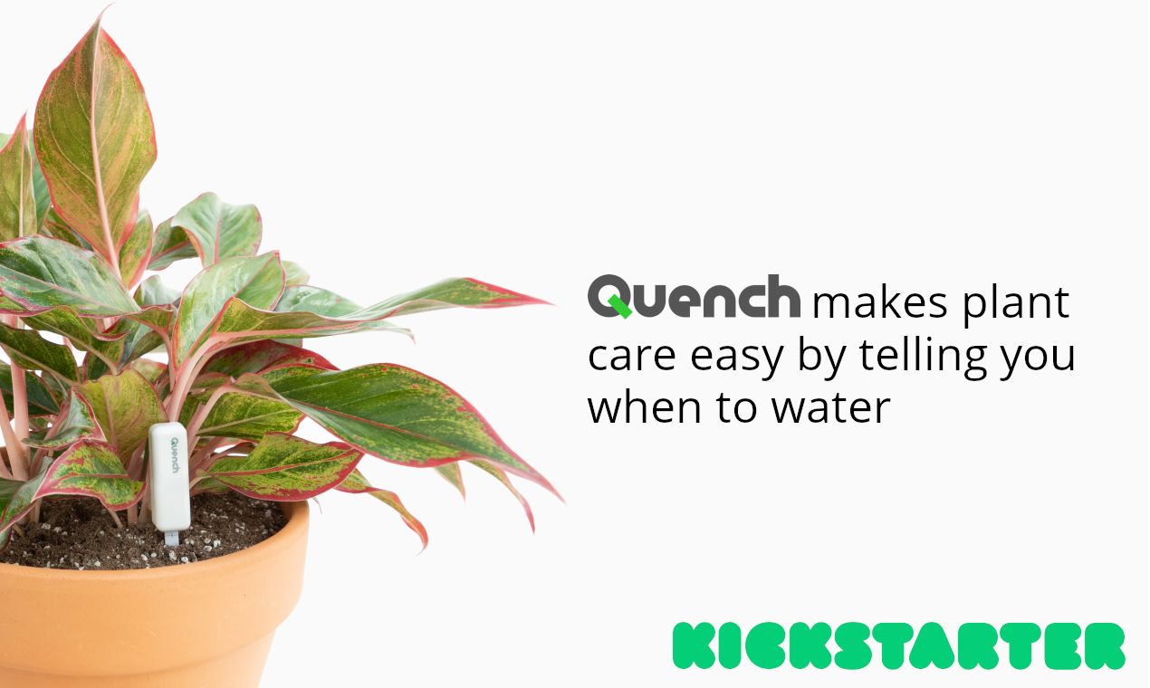 Quench - A unique voice for your plant gallery image
