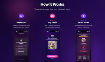 Cat IQ Test gallery image