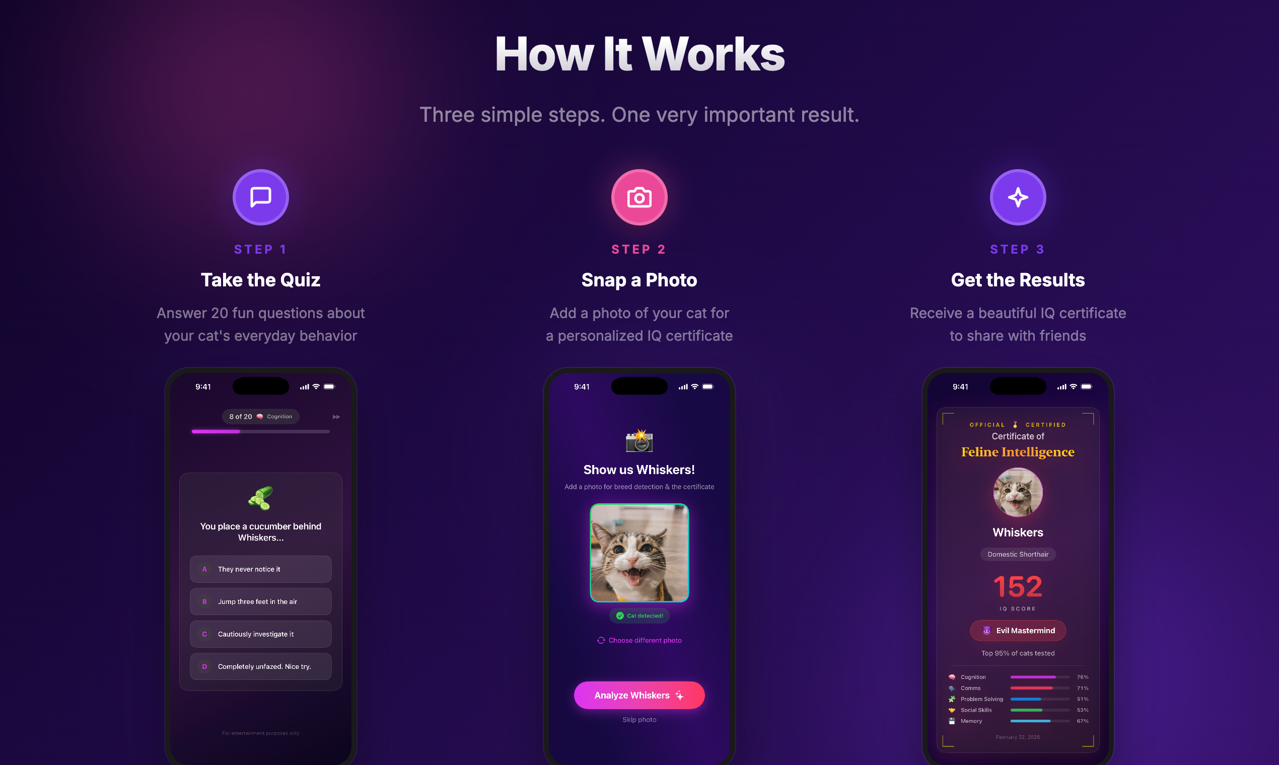 Cat IQ Test - Screenshot 2 showing product features and functionality