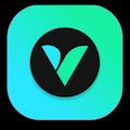 VidScout