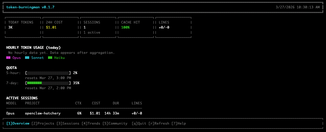 token-burningman gallery image