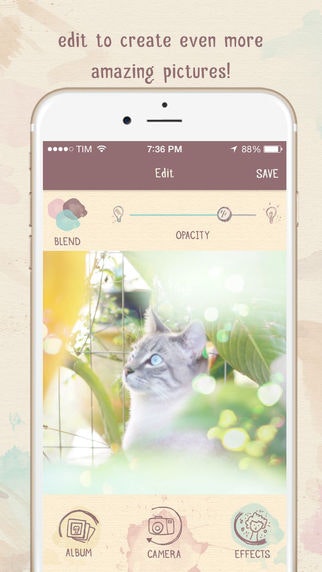 Lumiè gallery image