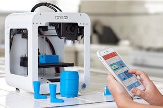 Toybox gallery image