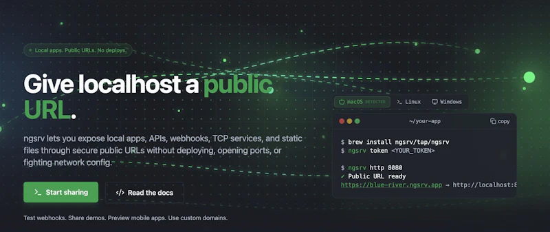 NGSRV screenshot 2