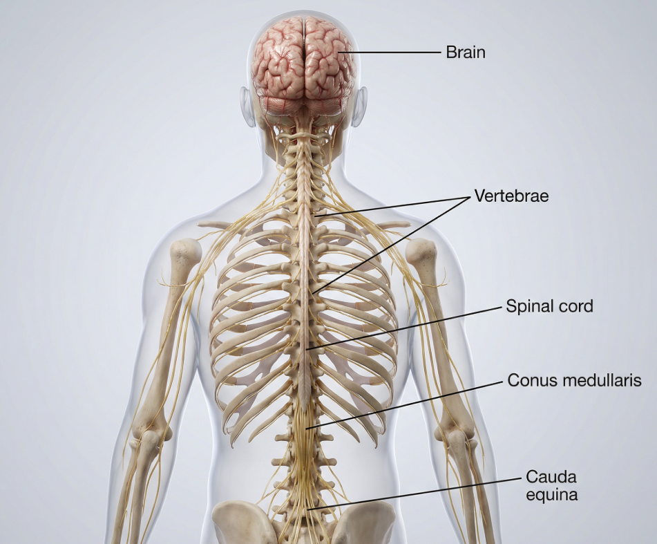 Natomy AI  - Screenshot 5 showing product features and functionality