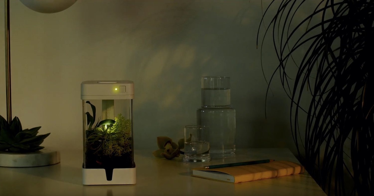 OrchidBox Smart Mini Terrarium 🌱 gallery image