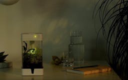 OrchidBox Smart Mini Terrarium 🌱 media 3