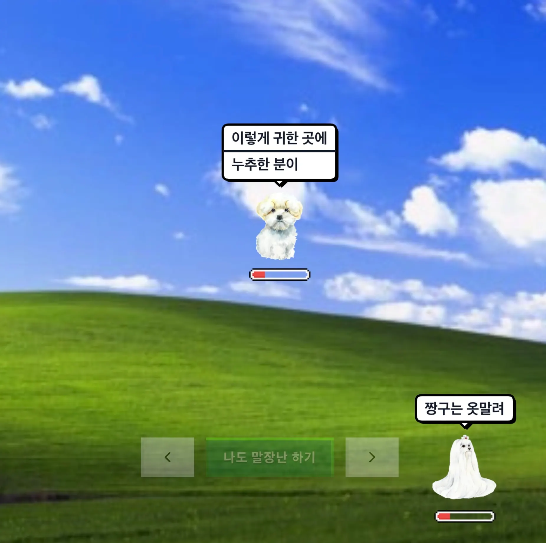 말장난 말티즈 gallery image