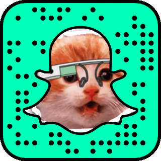 Snaptag Editor Image