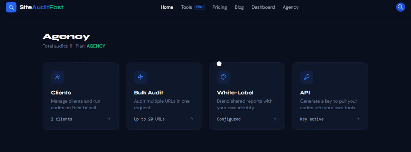 SiteAuditFast screenshot 5