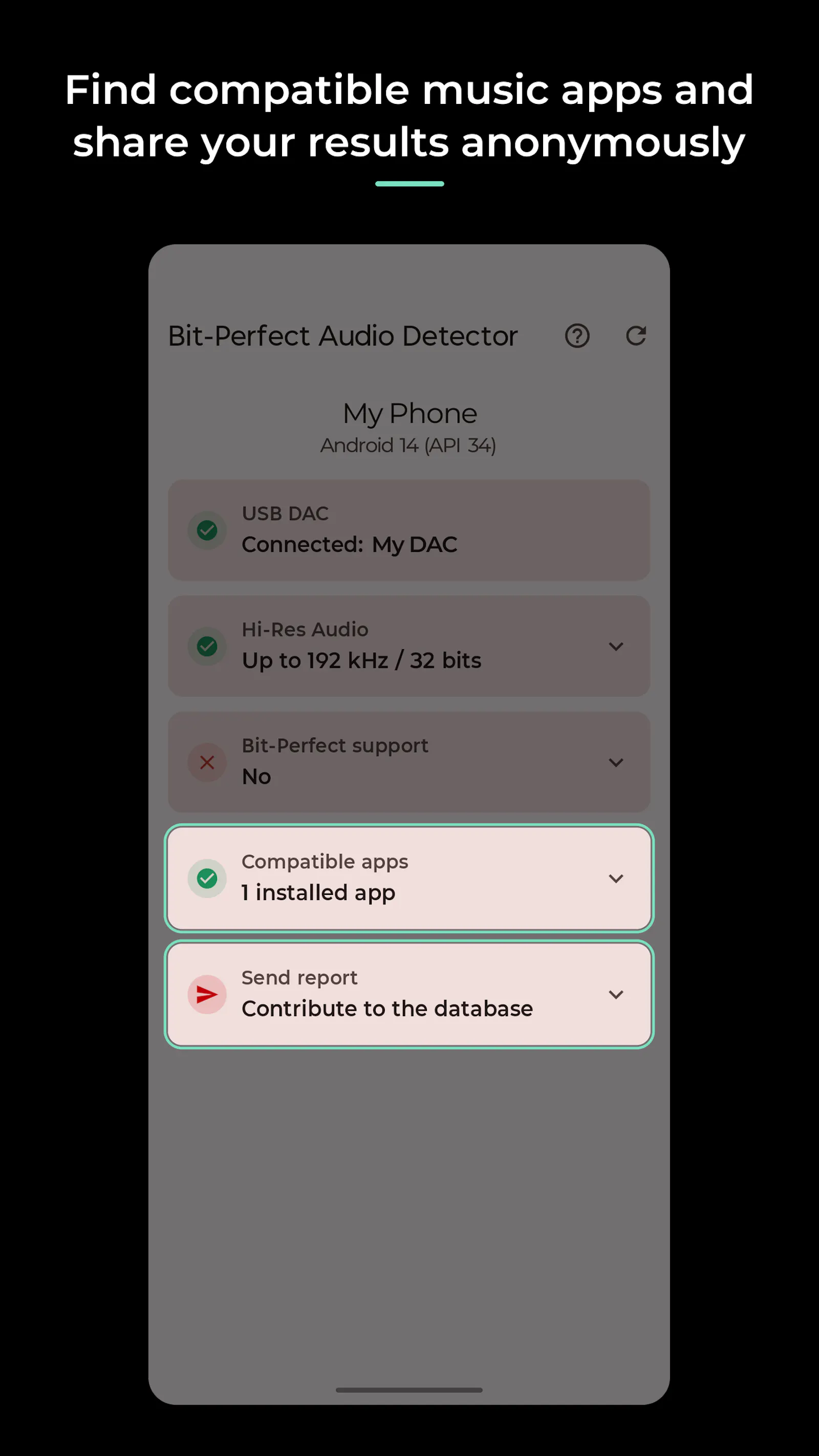 Bit-Perfect Audio Detector screenshot 5