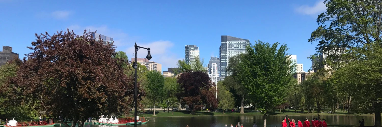 Daniel Strauss cover