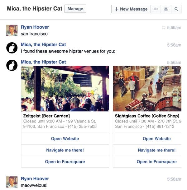 Mica, the hipster cat media 1