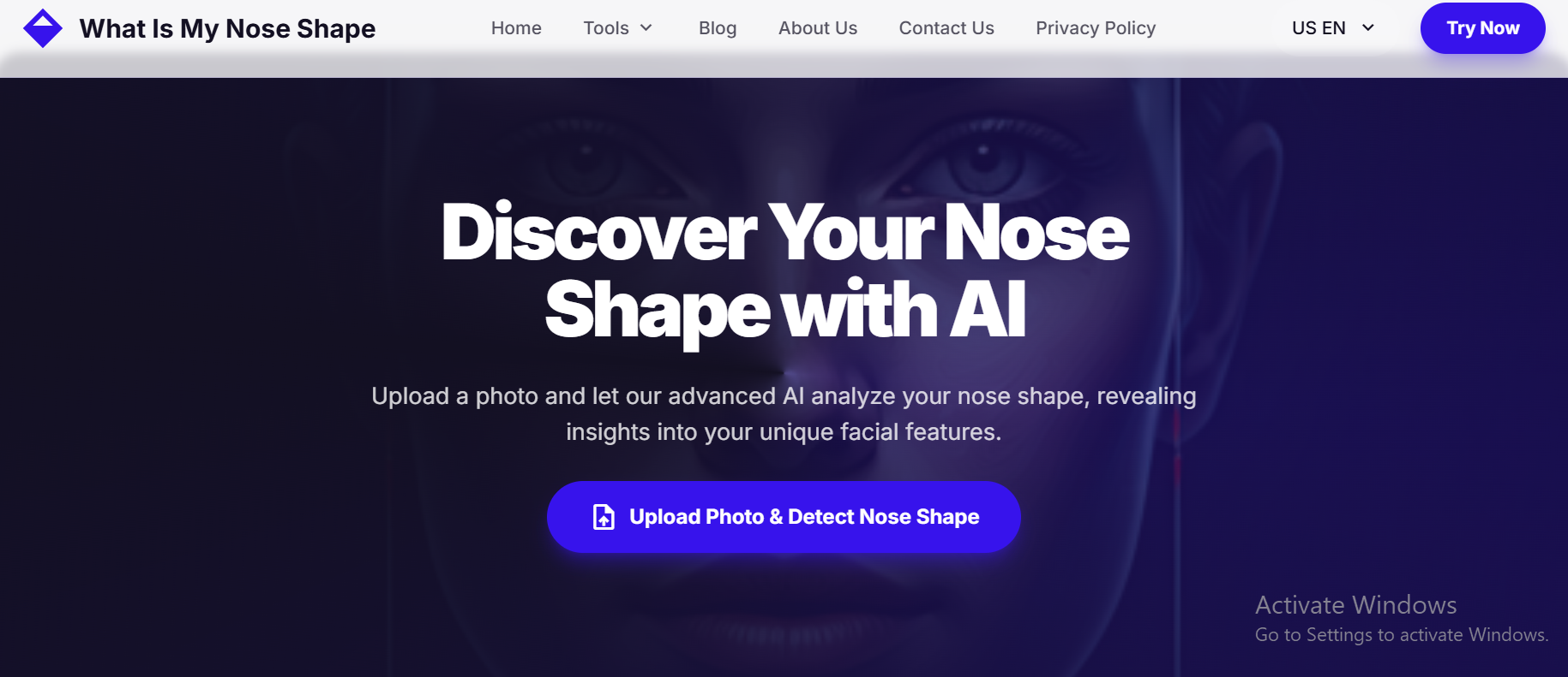 What Is My Nose Shape gallery image