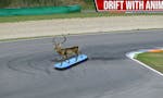 Animal Drifting: Racing Simulator image