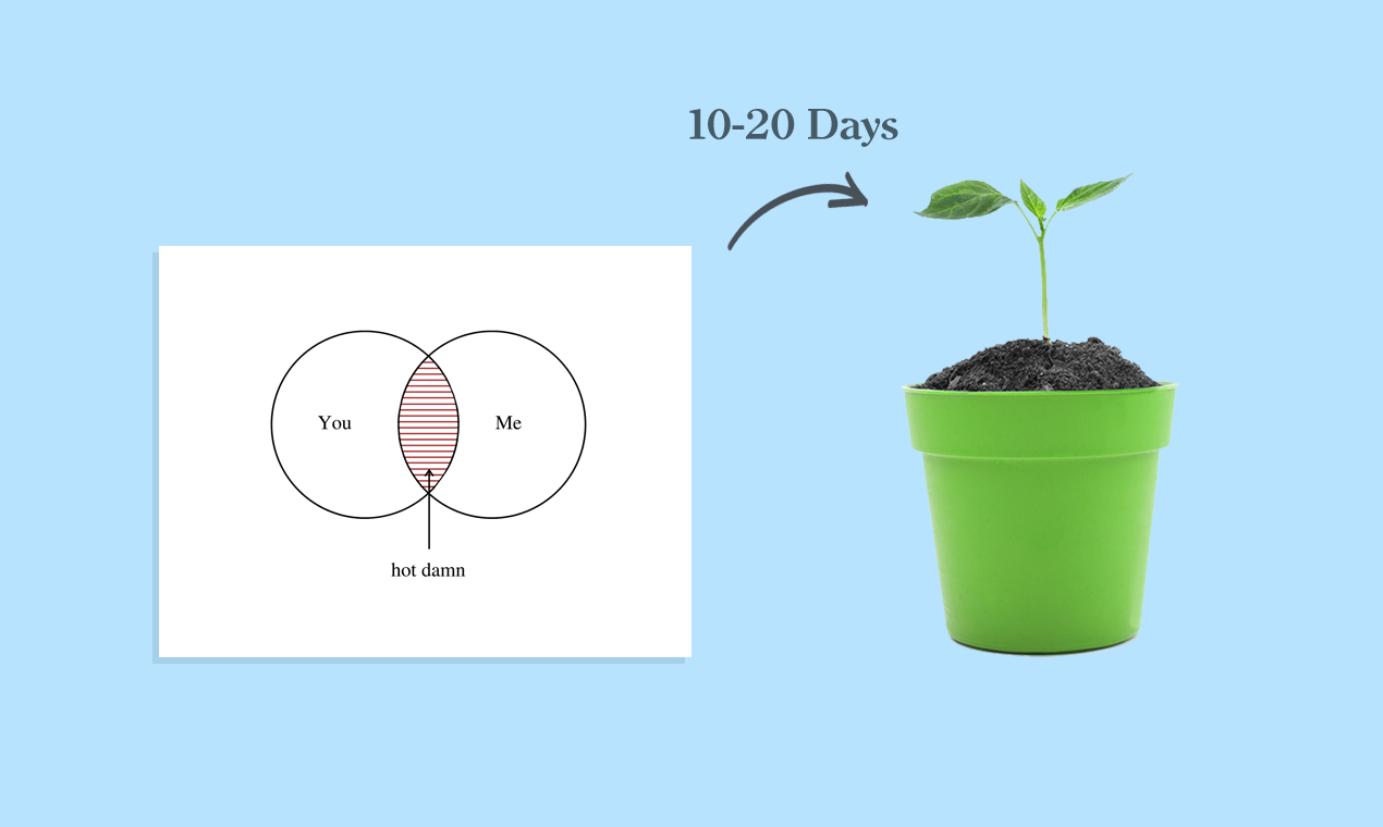 Cute Root gallery image