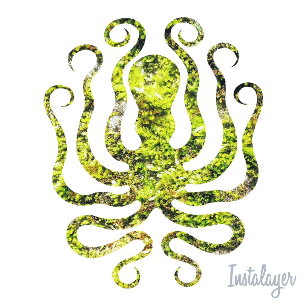 Instalayer gallery image