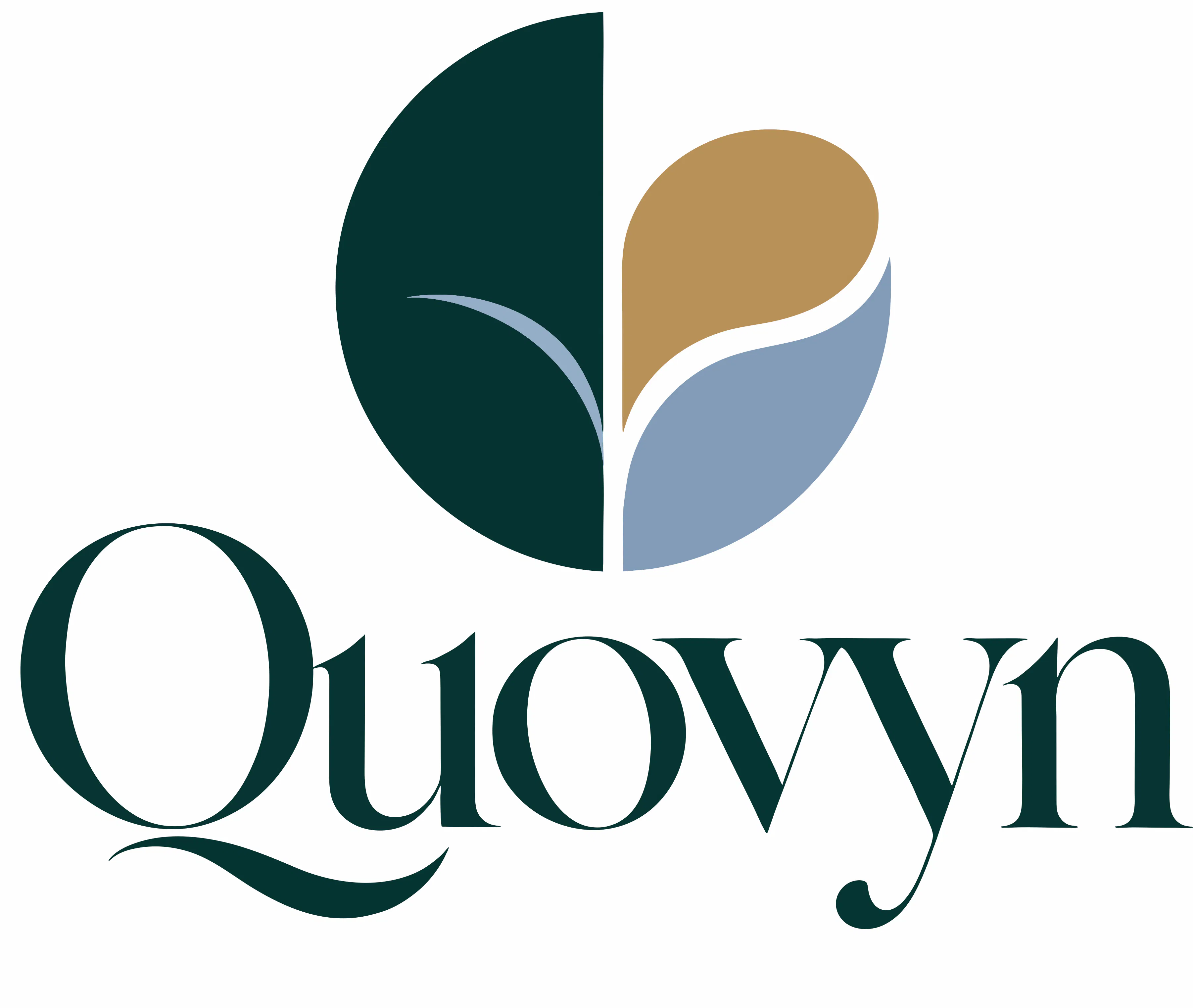 Quovyn logo