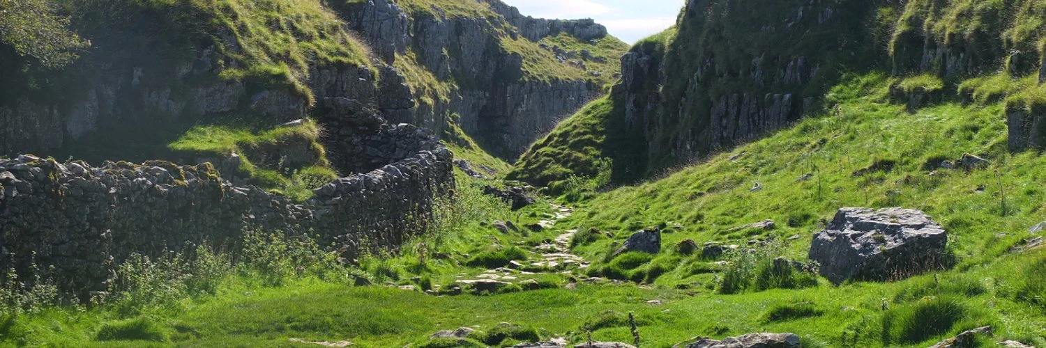 Andrew Deniszczyc cover