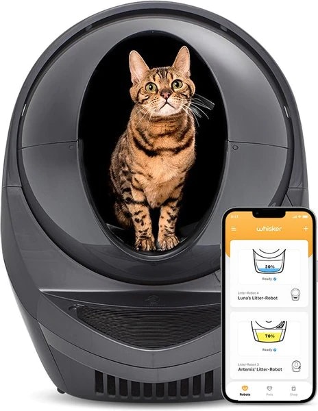 Cat Kitten Box media 1