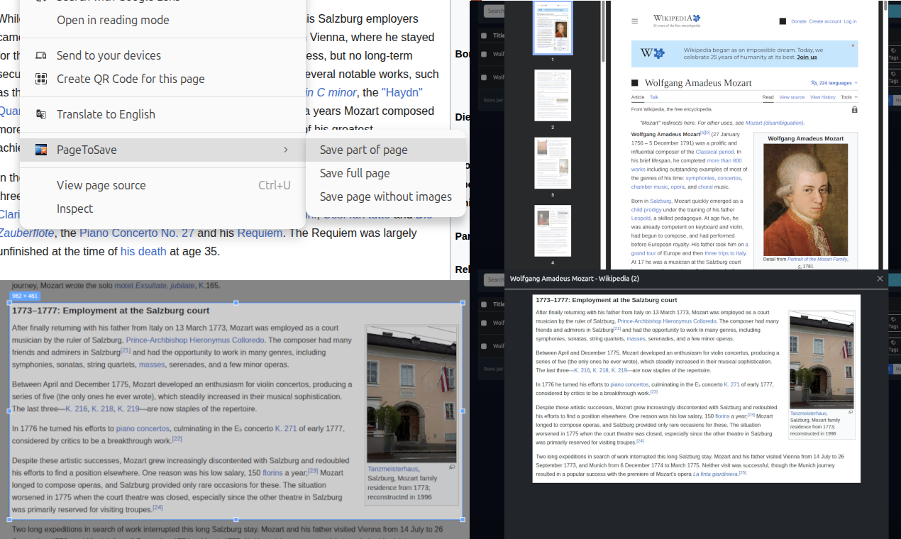Save Webpages, Search Screenshots gallery image