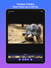 Frame Grabber – TrueFrame gallery image