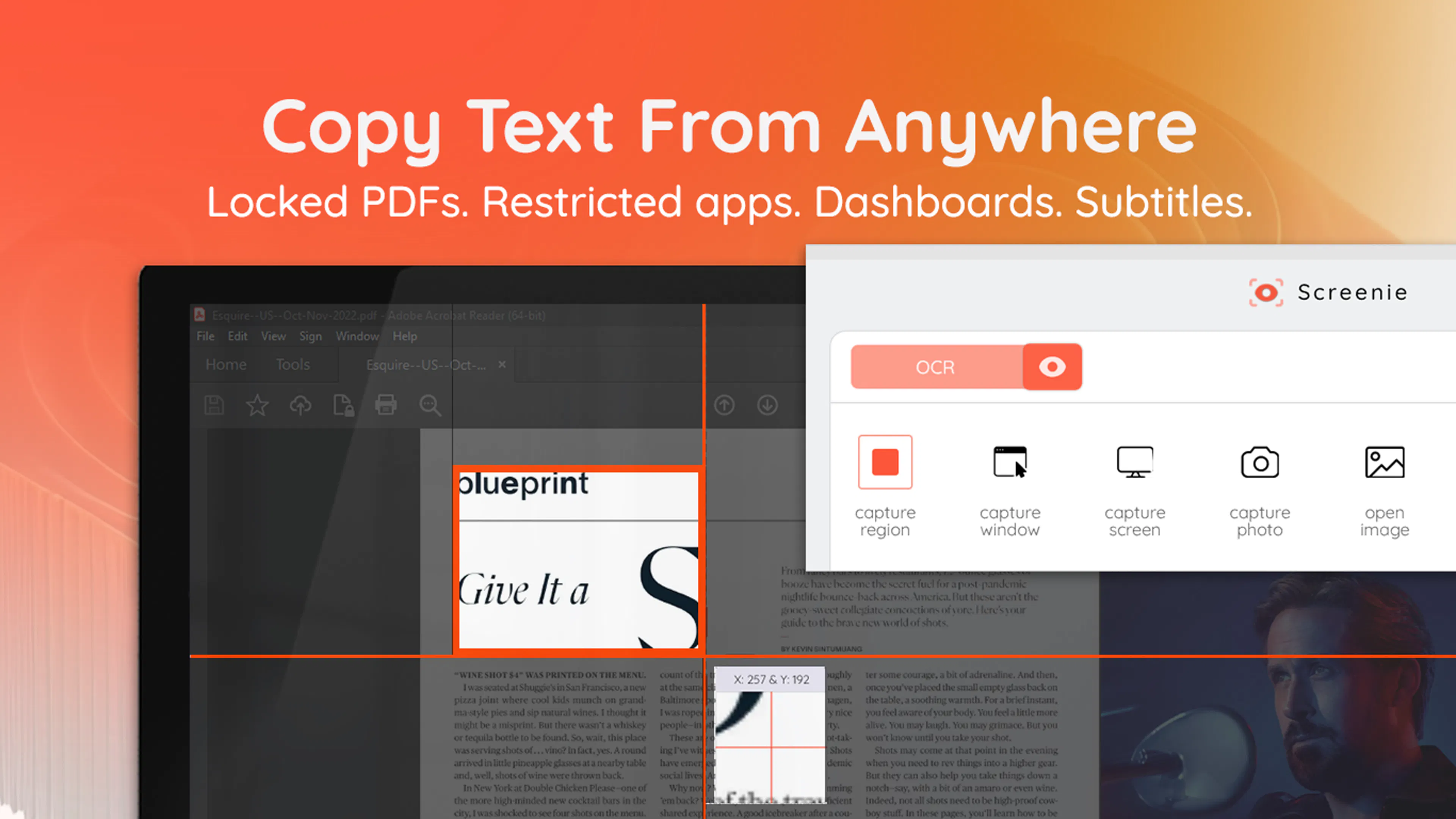 Screenie - handy Screenshot OCR tool gallery image